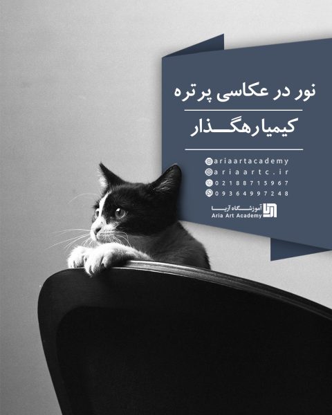 نور در عکاسی پرتره (کیمیا رهگذار)